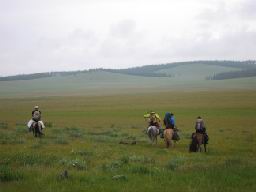 “MONGOLIE-Chevaux