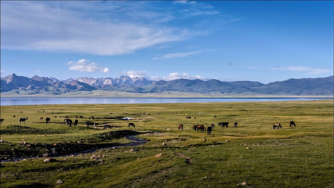 Lac Song Kol, Kirghizstan. Photo Romain Auclair.